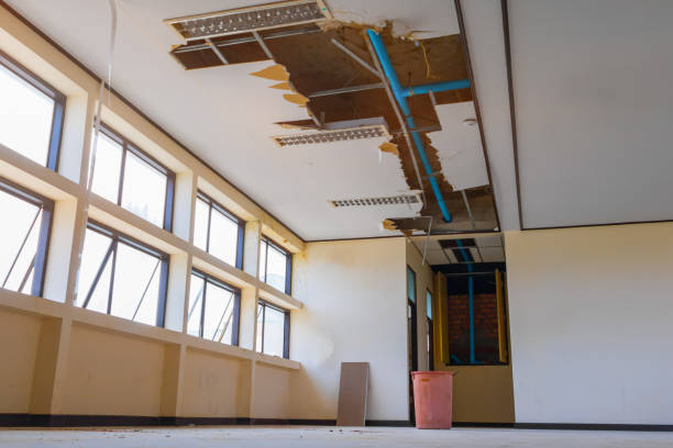 Best 24-hour water damage restoration  in Mcrae Helena, GA
