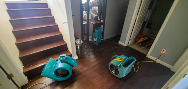 Best Local water damage restoration  in Mcrae Helena, GA