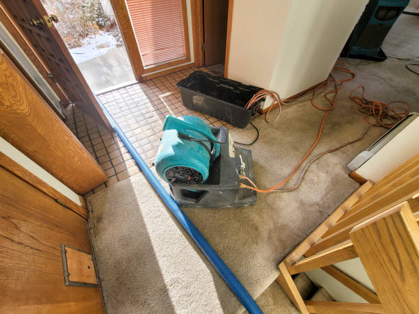 Best Flood damage cleanup  in Mcrae Helena, GA
