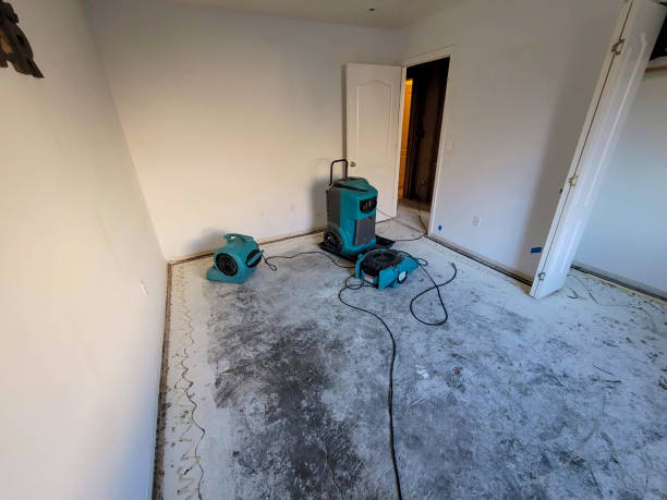 Best Sewage cleanup and water damage restoration  in Mcrae Helena, GA