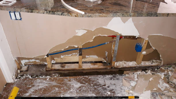 Best Ceiling water damage repair  in Mcrae Helena, GA