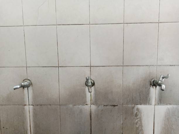 Best 24/7 water damage repair  in Mcrae Helena, GA