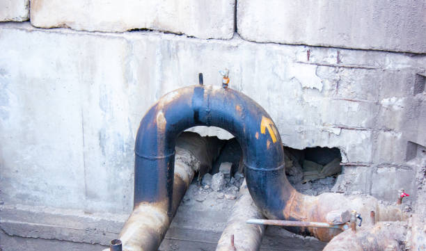 Best Basement water damage restoration  in Mcrae Helena, GA