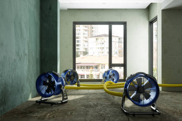 Best Water damage contractors near me  in Mcrae Helena, GA