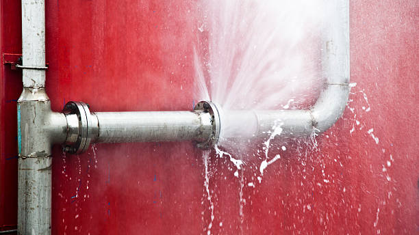 Best Flooded house restoration  in Mcrae Helena, GA