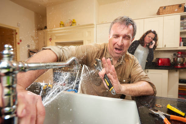 Best Water damage mitigation services  in Mcrae Helena, GA